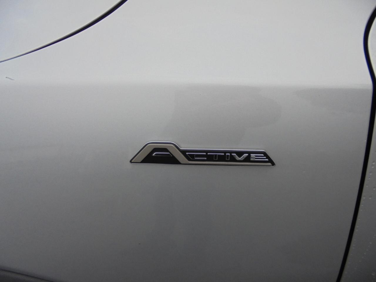 Ford Focus 1.5 EcoBlue 115 CV automatico SW Active