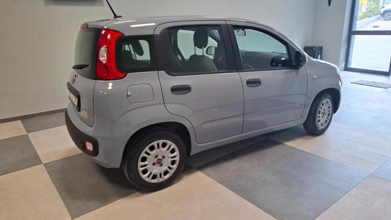 Fiat Panda 1.0 FireFly S&S Hybrid City Cross