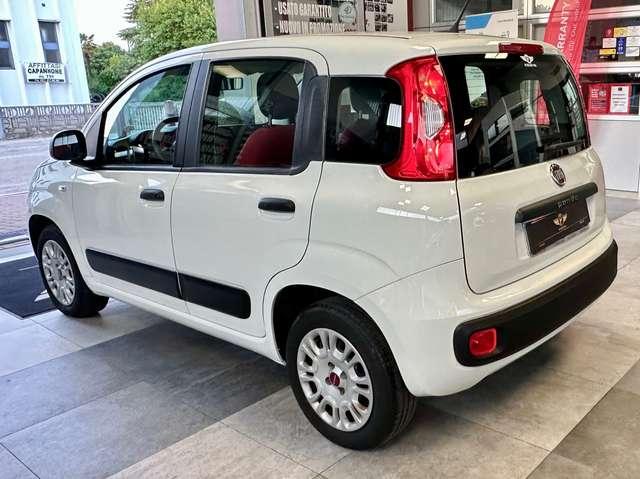 Fiat Panda 1.2 Benzina 69CV S&S Easy +Neopatentato