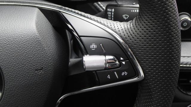 SKODA Fabia 1.0 TSI Evo 110 CV DSG Monte Carlo