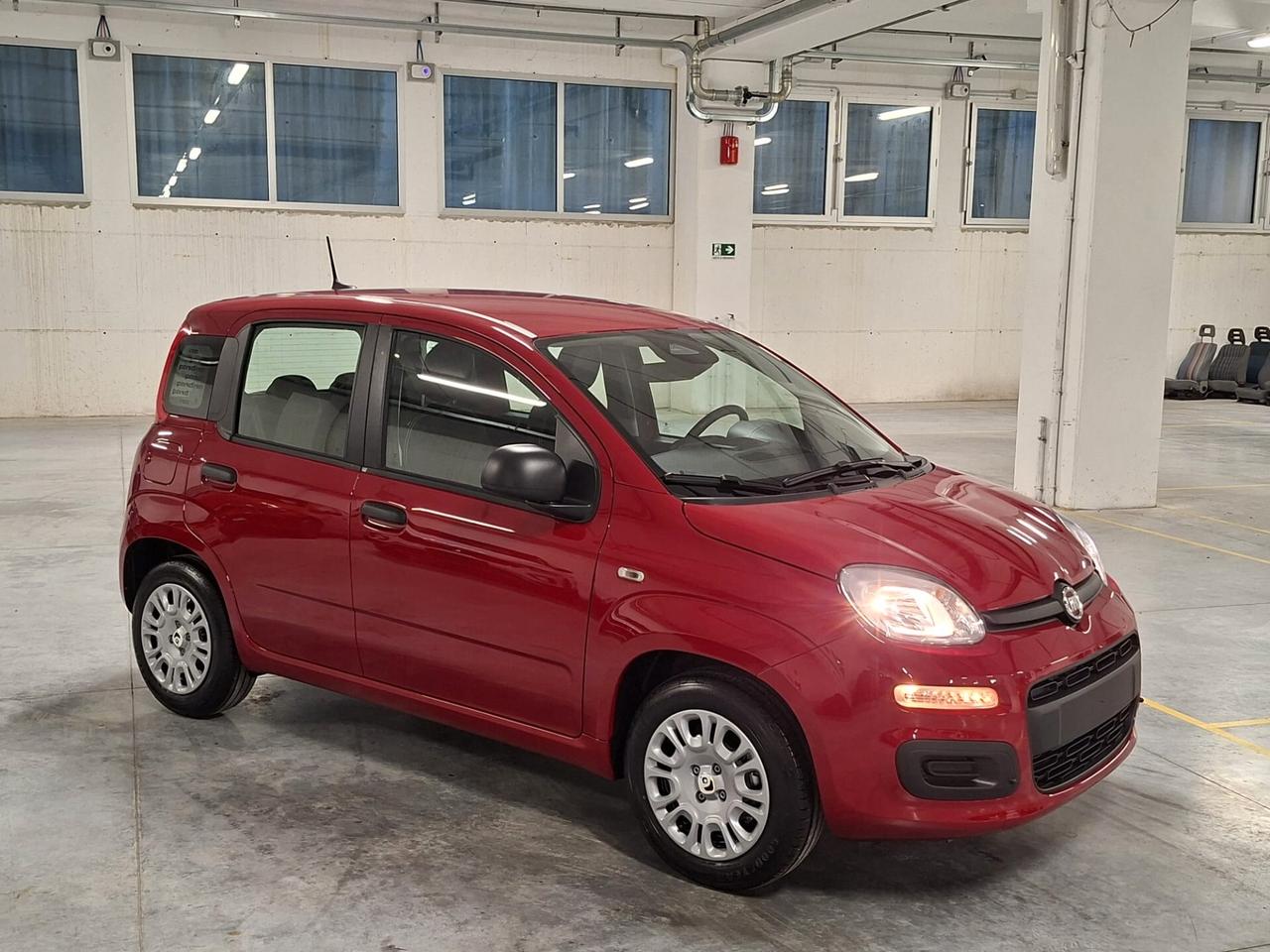 Fiat Panda 1.0 FireFly Hybrid 70CV Icon Km.0 (414)