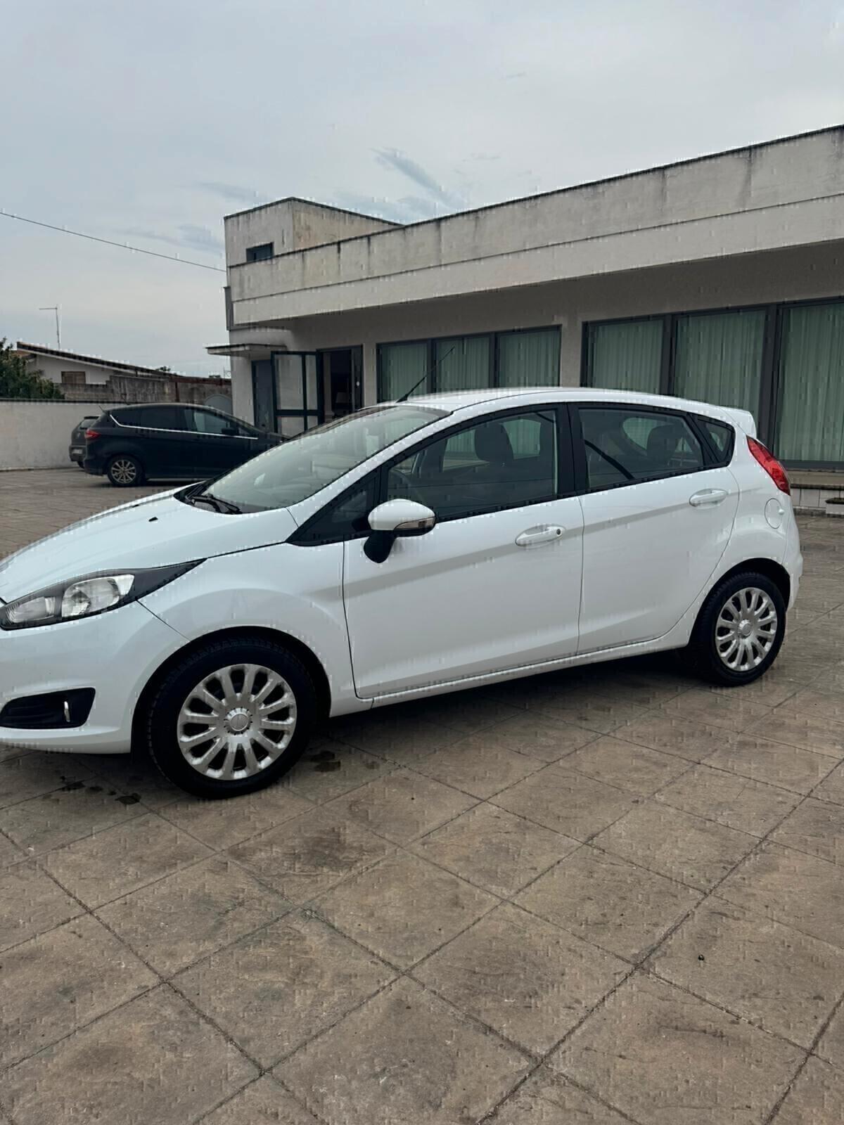 Ford Fiesta 1.4 5 porte Bz.- GPL Black & White Edition