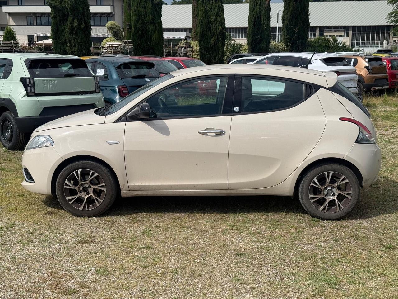 Lancia Ypsilon 1.2 69 CV 5 porte Platinum
