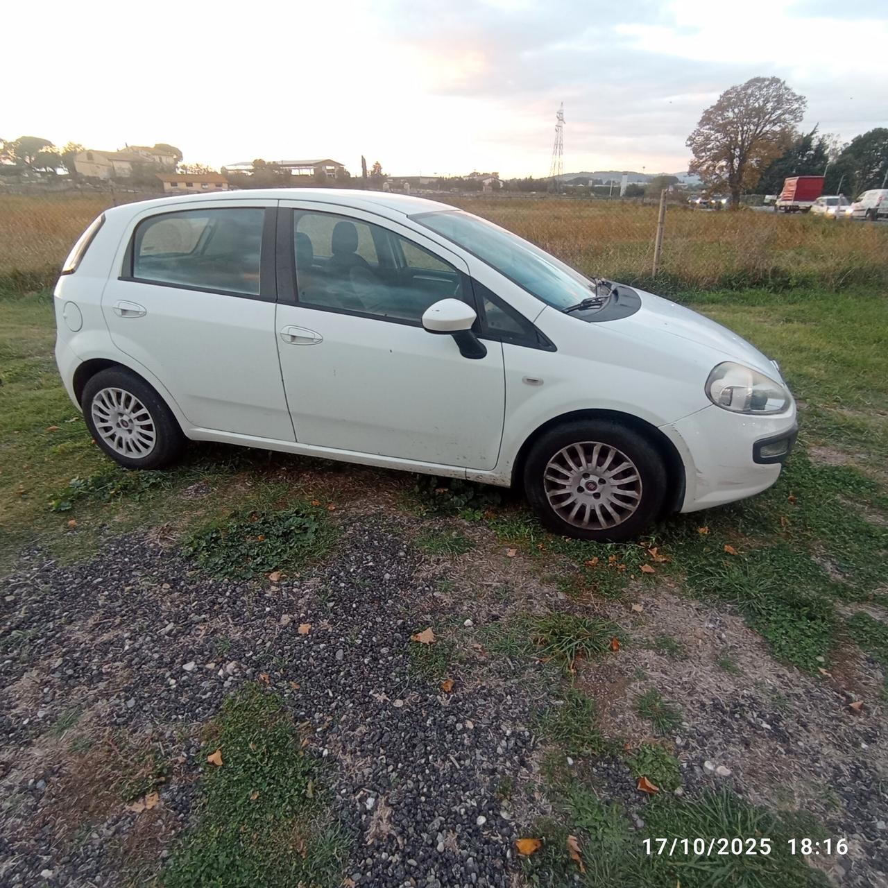 Fiat Punto Evo 1.3 Mjt 75 CV DPF 5 porte S&S Active