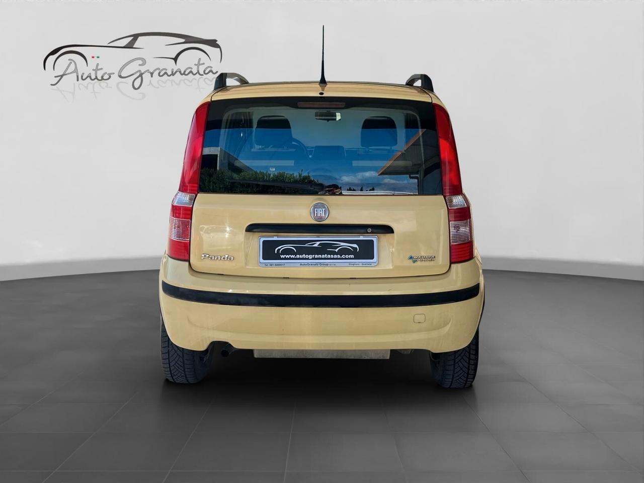 Fiat Panda 1.2 Dynamic NP 60cv NEOPATENTATI