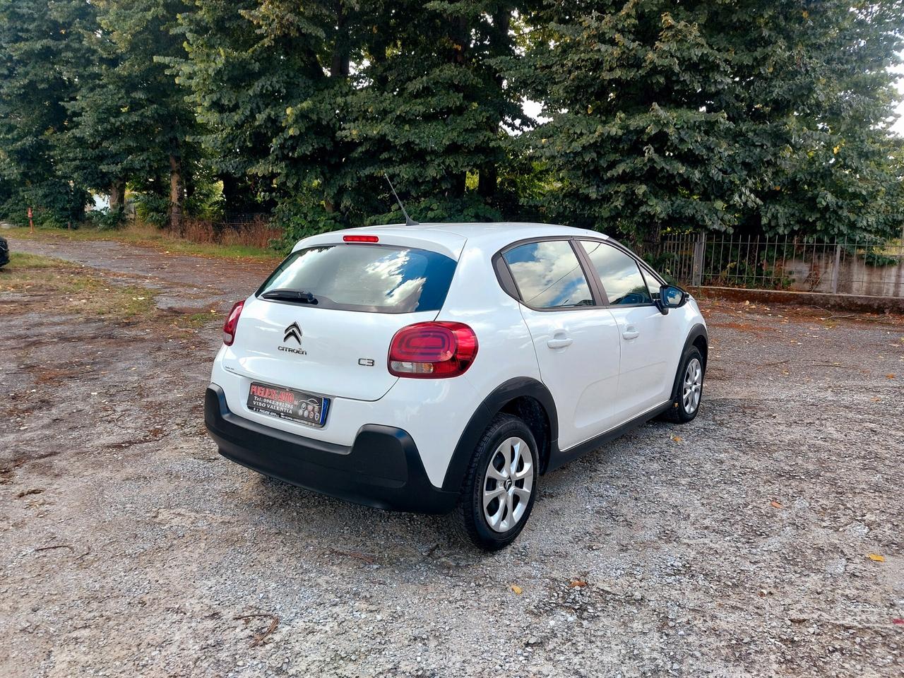 Citroen C3 1.5 BlueHDi 100 CV Van 2 posti - 2022