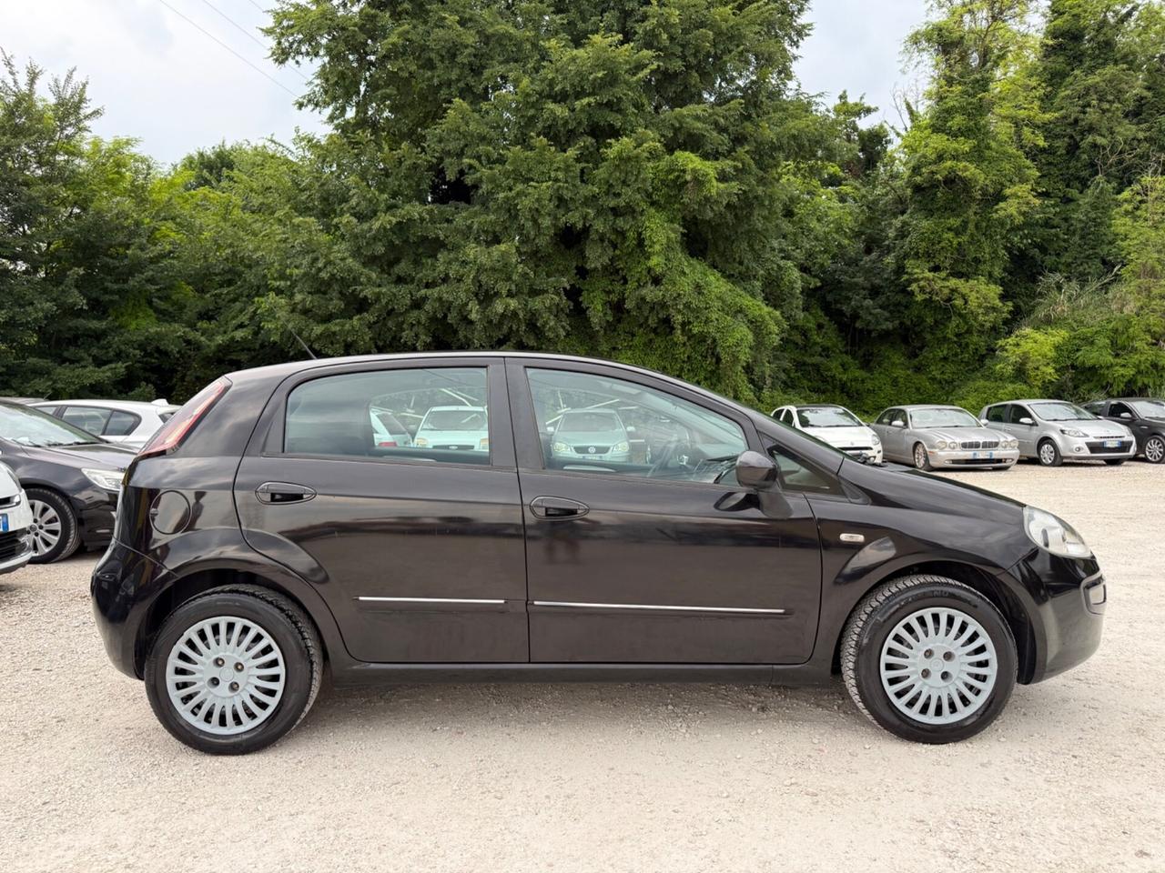 Fiat Punto Evo 1.2 5 porte Active Neopatentati