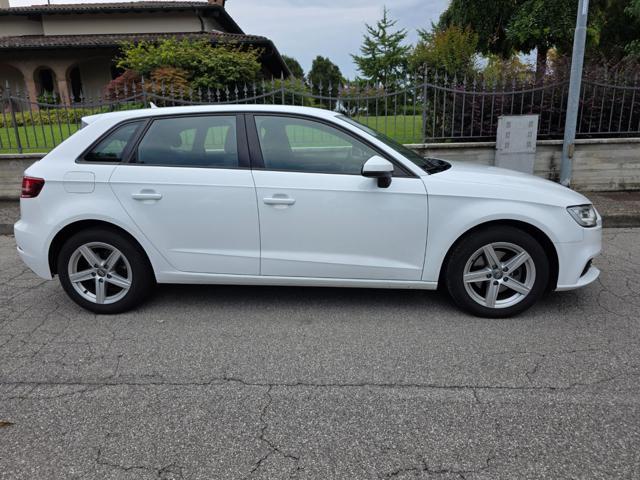 AUDI A3 SPB 1.6 TDI 116 CV Business