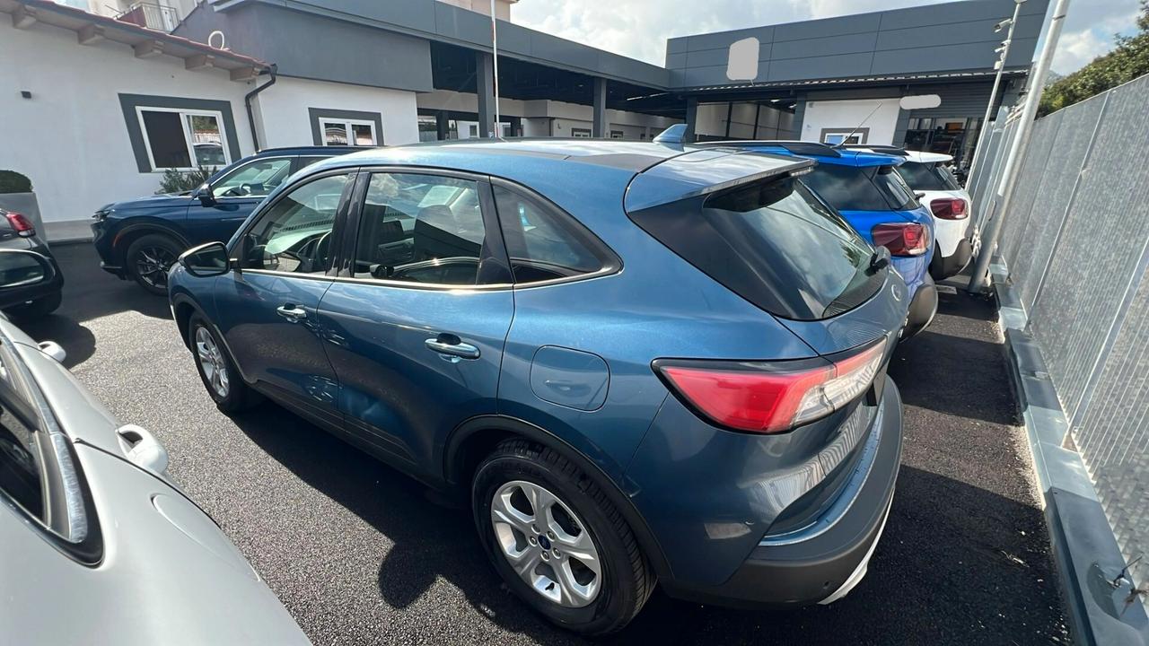 Ford Kuga 1.5 EcoBlue 120 CV 2WD Connect