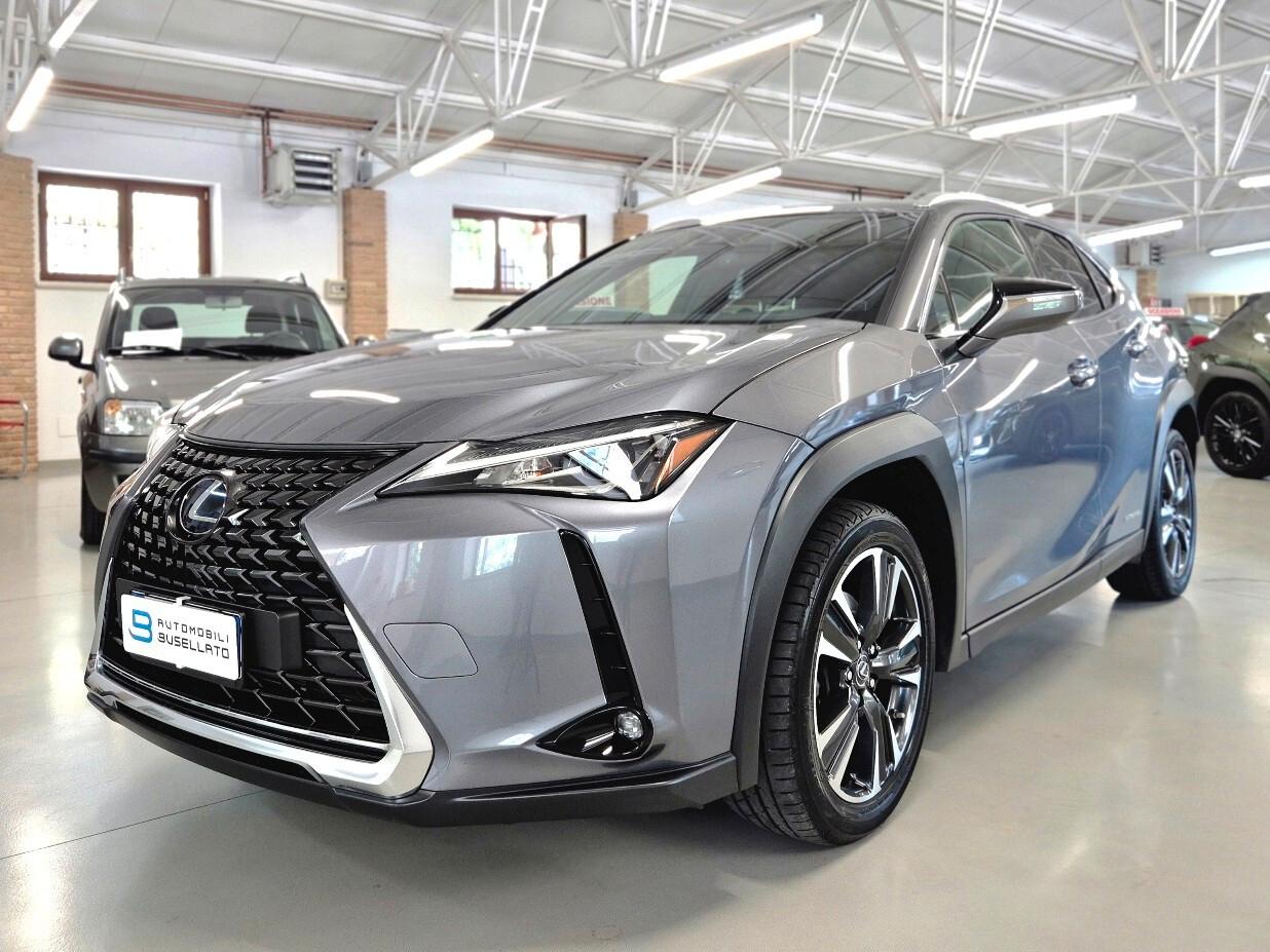 Lexus UX Hybrid 4WD Business