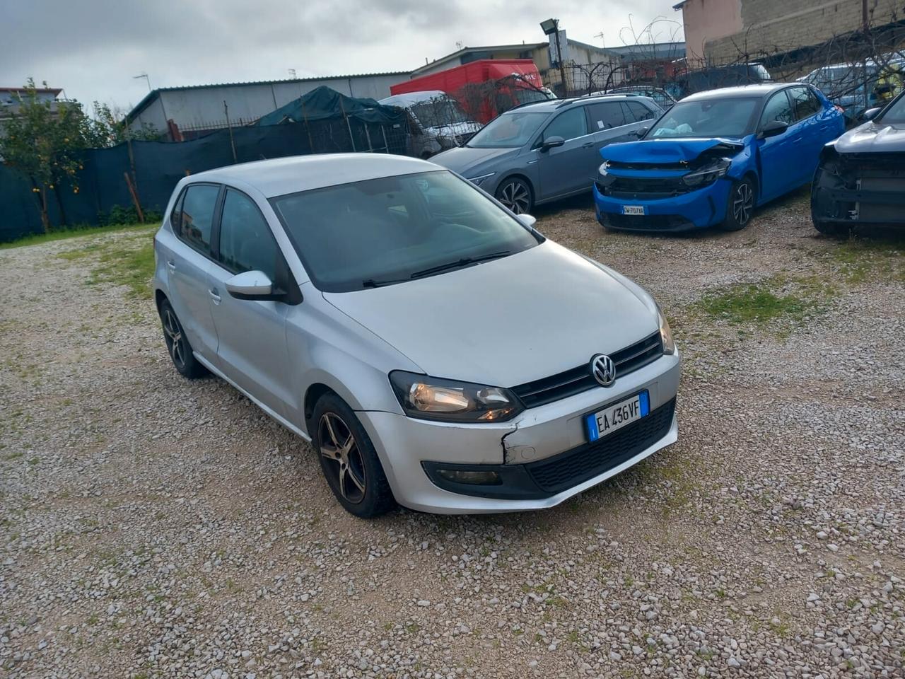 Volkswagen Polo 1.6 TDI DPF 5 porte Comfortline