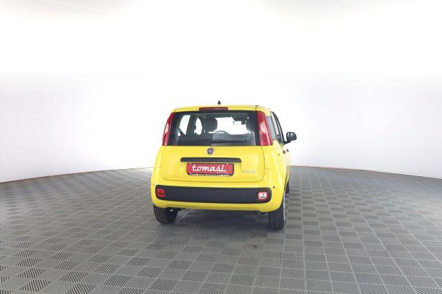 FIAT Panda Pandina 1.0 FireFly 65 CV Hybrid Pop