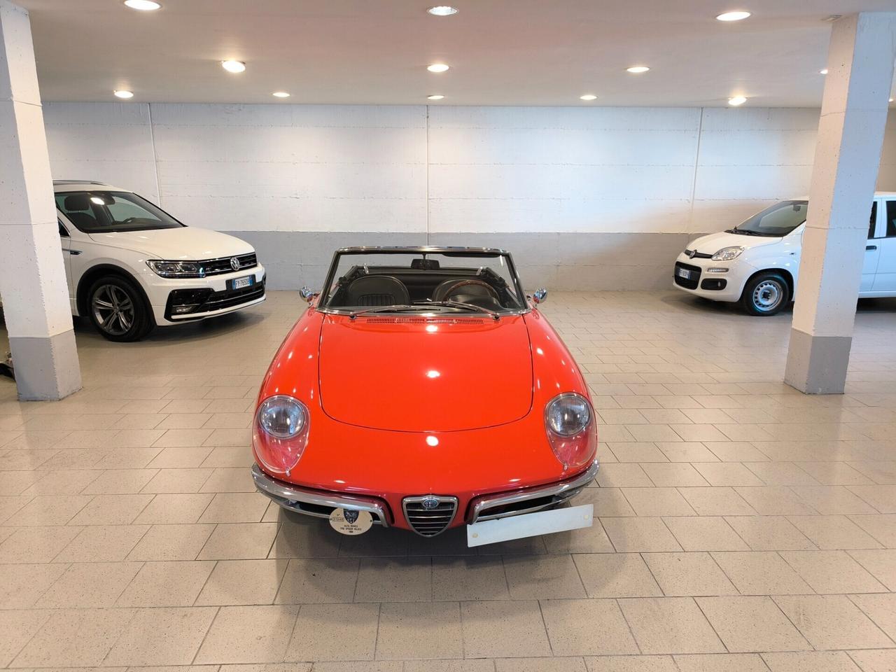 Alfa Romeo Spider