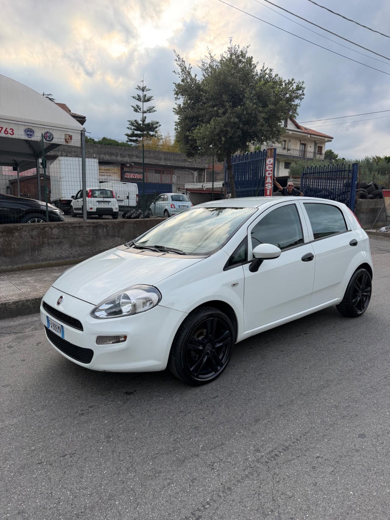 Fiat Punto 1.3 MJT II 75 CV 5 porte Street