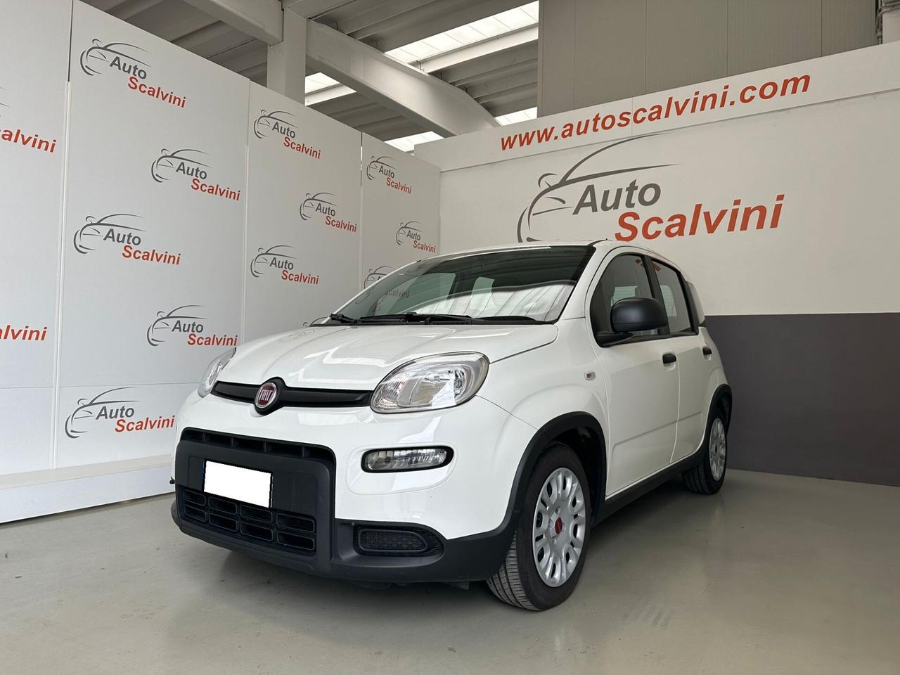 Fiat Panda 1.0 FireFly S&S Hybrid City Life