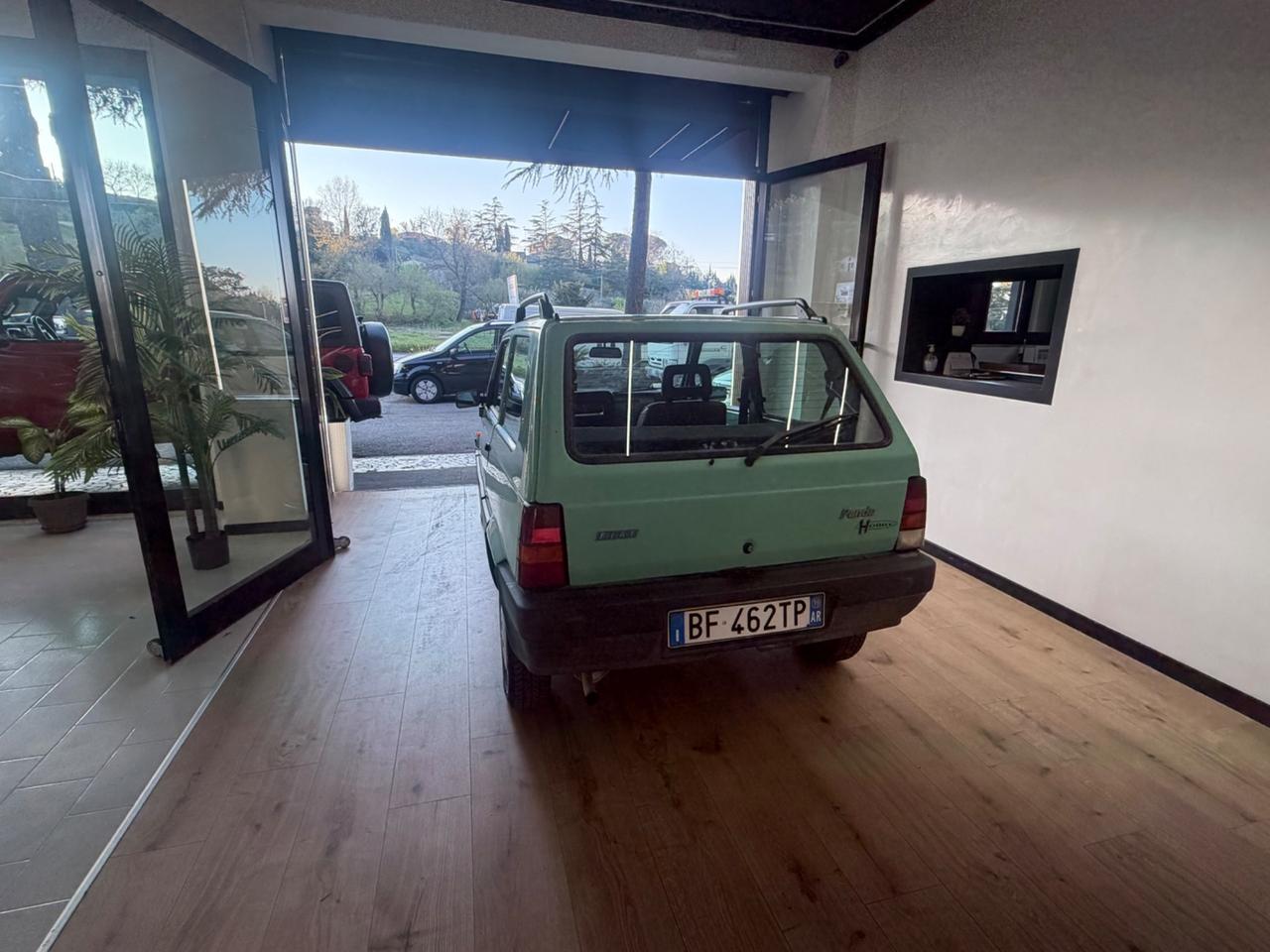 Fiat Panda 900 i.e. cat Young