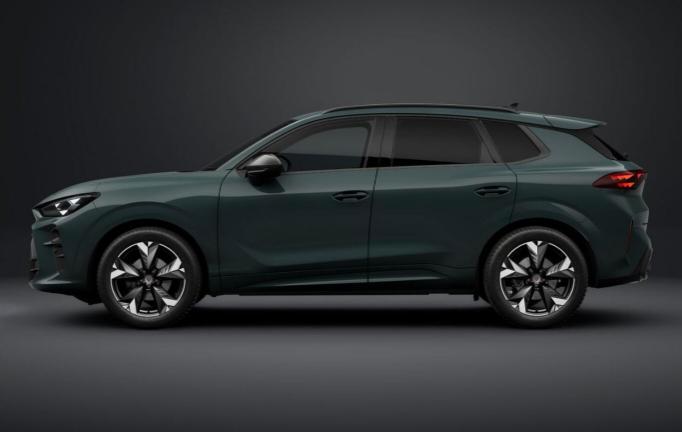 CUPRA Terramar 1.5 eTSI DSG in P