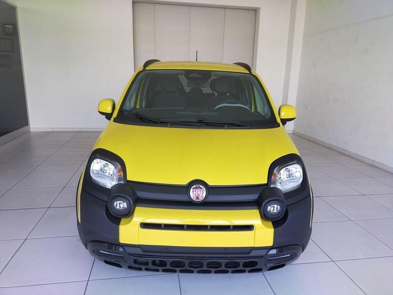 FIAT Panda 1.0 FireFly S&S Hybrid Pandina - VARI COLORI DISPONIBILI