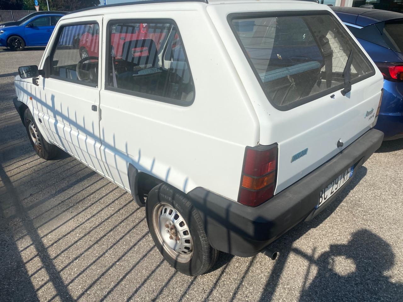 Fiat Panda 900 i.e. cat Young
