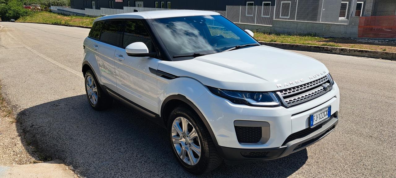Land Rover Range Evoque 2.0 TD4 150 CV 5p. Business Edition SE