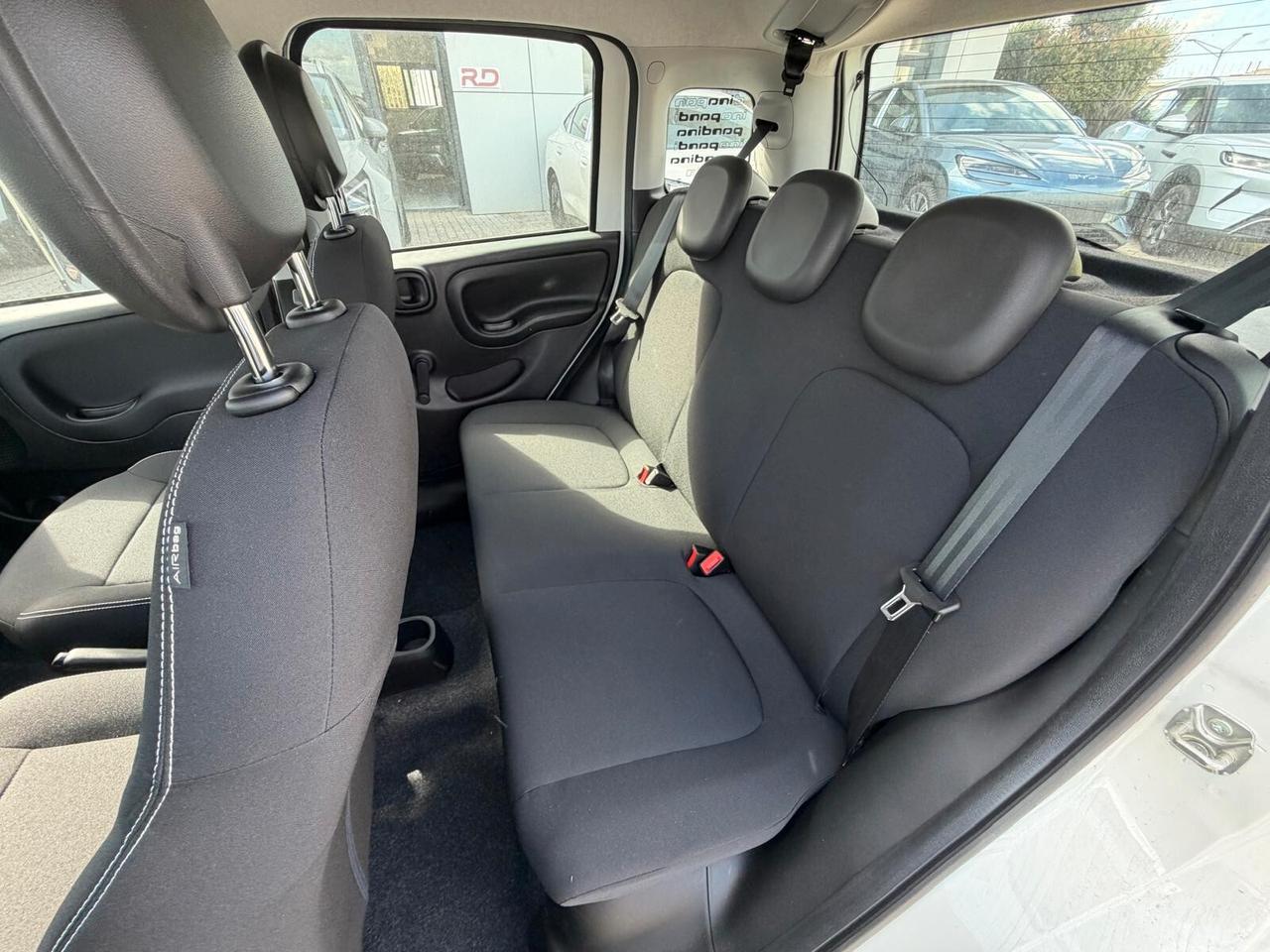 Fiat Panda Pandina 1.0 FireFly 65 CV Hybrid Icon
