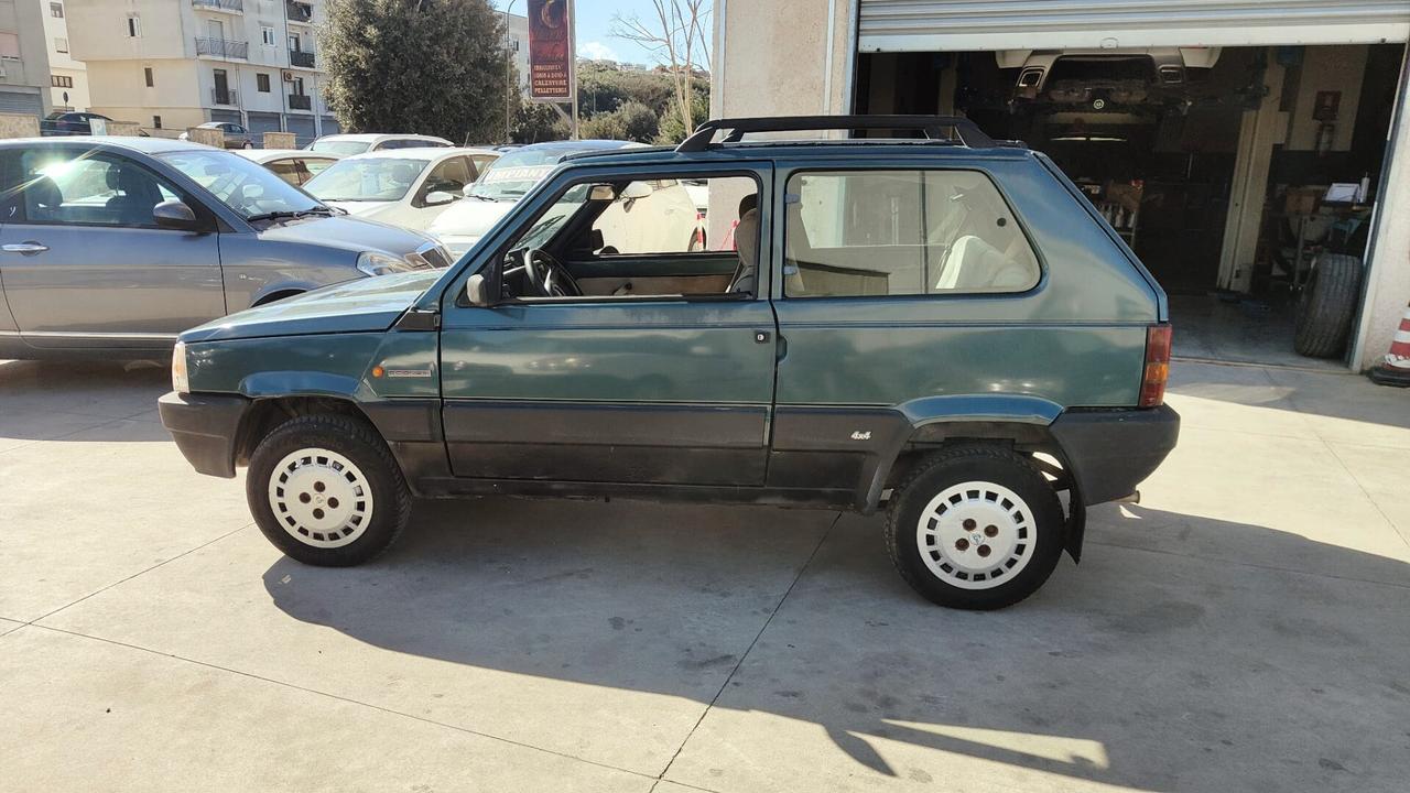 Fiat Panda 4x4 Scioneri