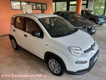 FIAT Panda 1.0 FireFly S&S Hybrid PREZZO VERO