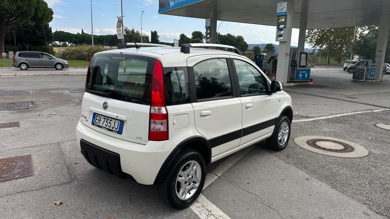 Fiat Panda 1.3 MJT 16V DPF 4x4 Climbing