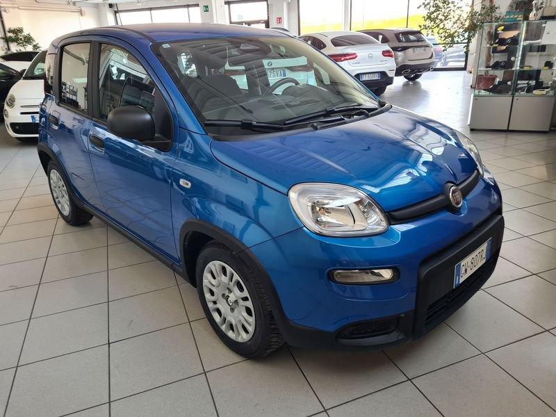 FIAT Panda 1.0 FireFly 70cv S&S Hybrid Pandina