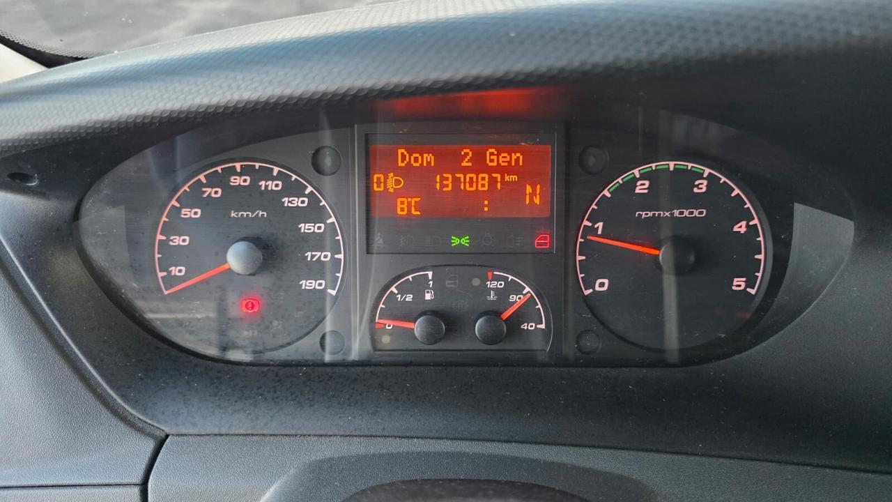 Iveco Daily - Trasporto Cavalli