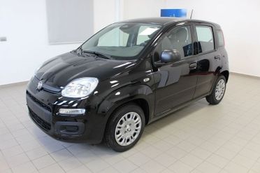 FIAT Panda Panda 1.0 FireFly S&S Hybrid Icon