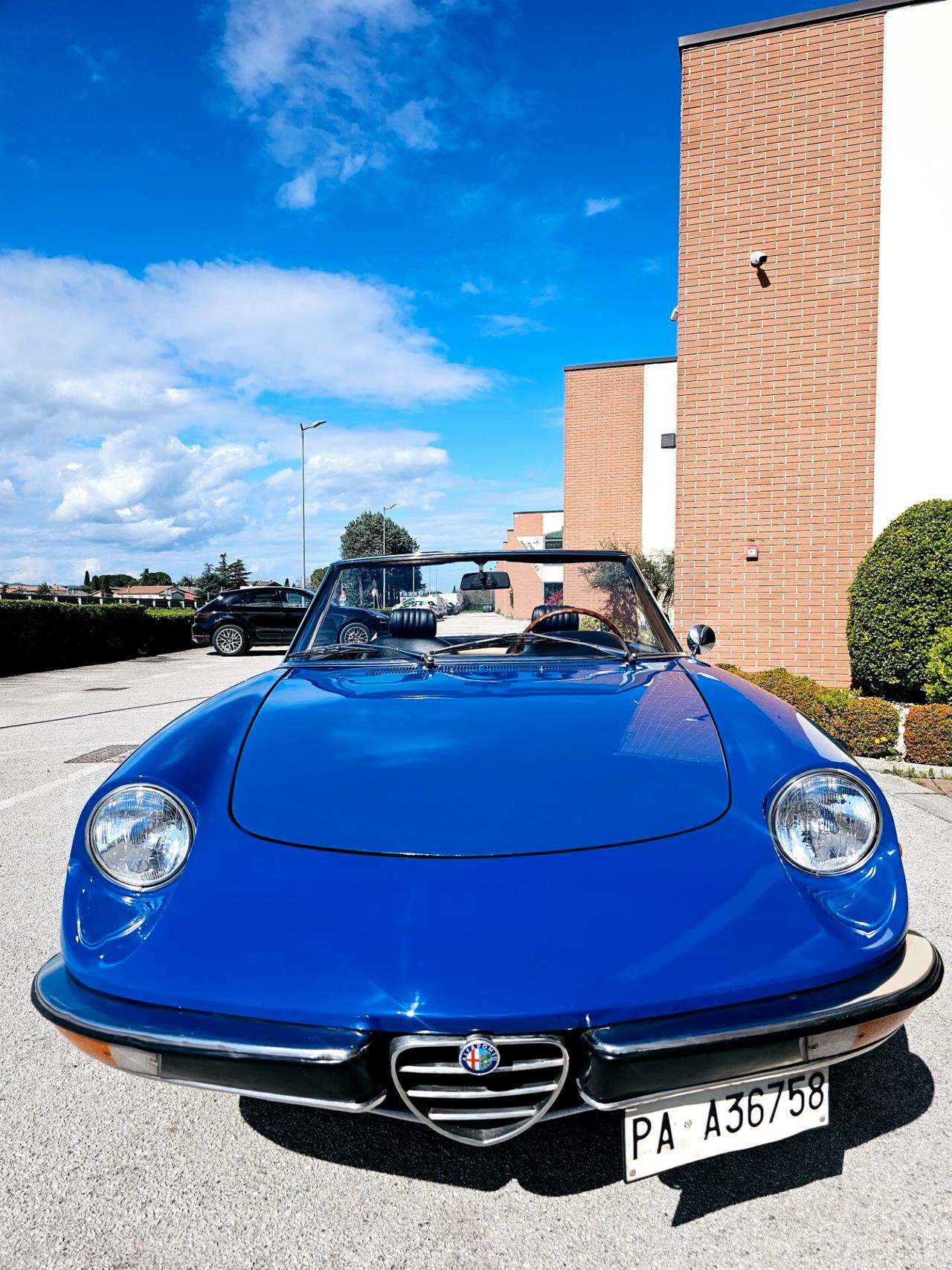 Alfa Romeo Spider Alfa romeo duetto coda tronca Asi