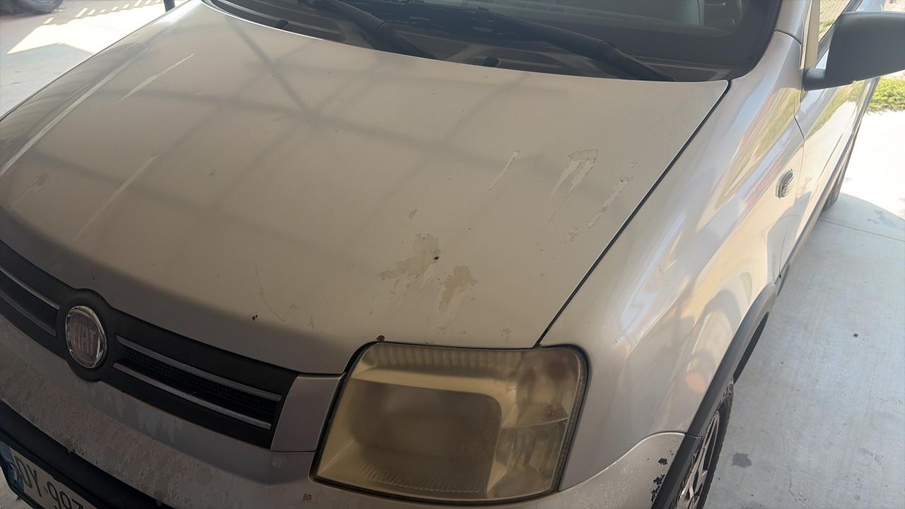 Fiat Panda 1.3 MJT 16V 4x4