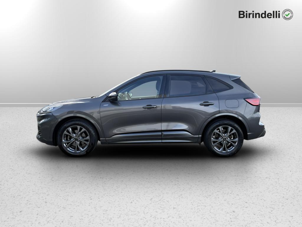 FORD Kuga 3ª serie - Kuga 1.5 EcoBoost 150 CV 2WD ST-Line