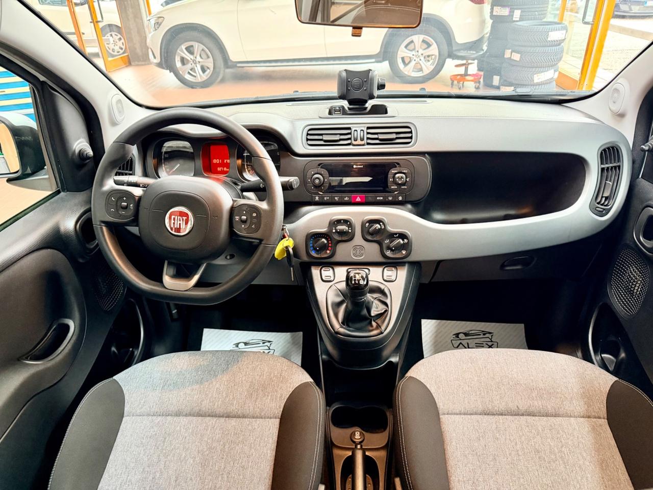 Fiat Panda 1.2 benz 69cv Neopat solo 82.000km
