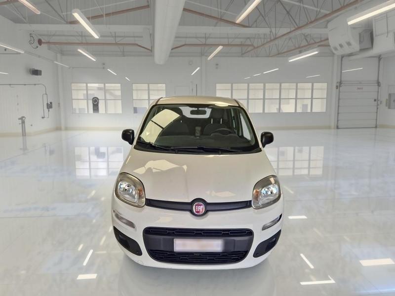 FIAT PANDA 1.2 69 CV SES E6D-TEMP EASY 5 PORTE BERLINA