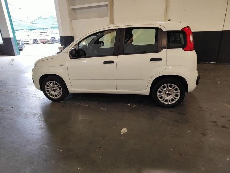 FIAT Panda Panda 1.2 Easy