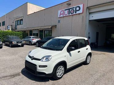 Fiat Panda 1.0 FireFly S&S Hybrid Pandina