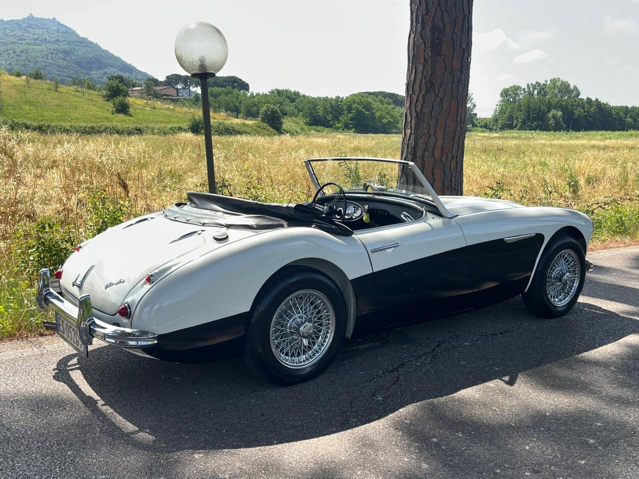 Austin Healey 100/6 BN4 2700 ASI
