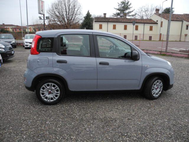 FIAT Panda 1.0 FireFly S&S Hybrid City Life - OK NEOPATENTATI
