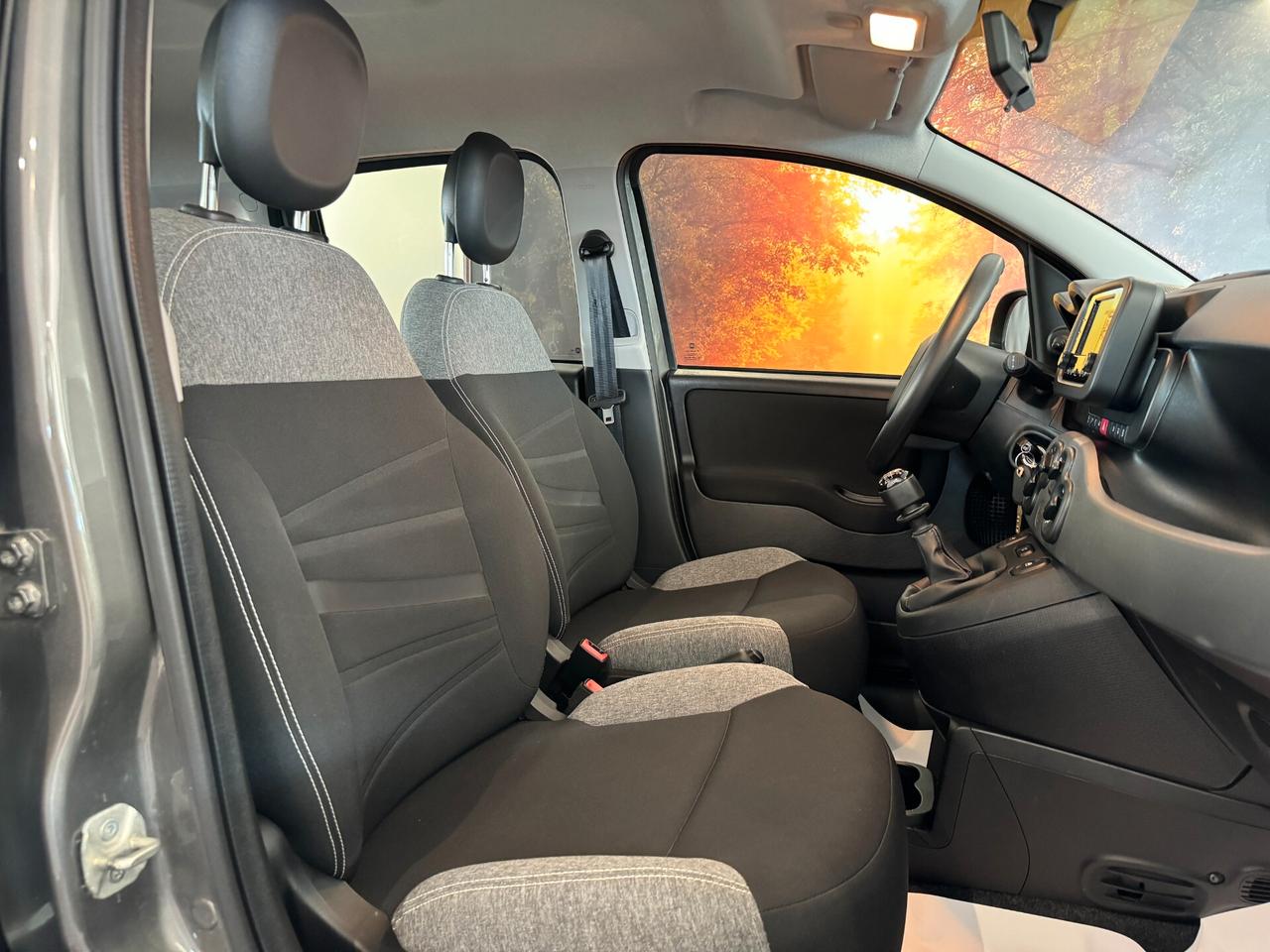 FIAT PANDA 1.0 FIREFLY HYBRID 70CV CITY LIFE 2023