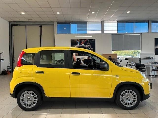 Fiat Panda La Pandina 1.0 Hybrid *PRONTA CONSEGNA*