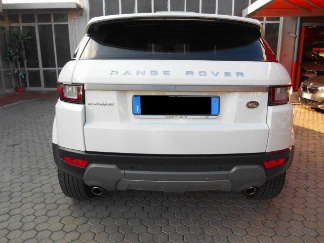 LAND ROVER Range Rover Evoque 2.0 eD4 5p. Business Edition SE