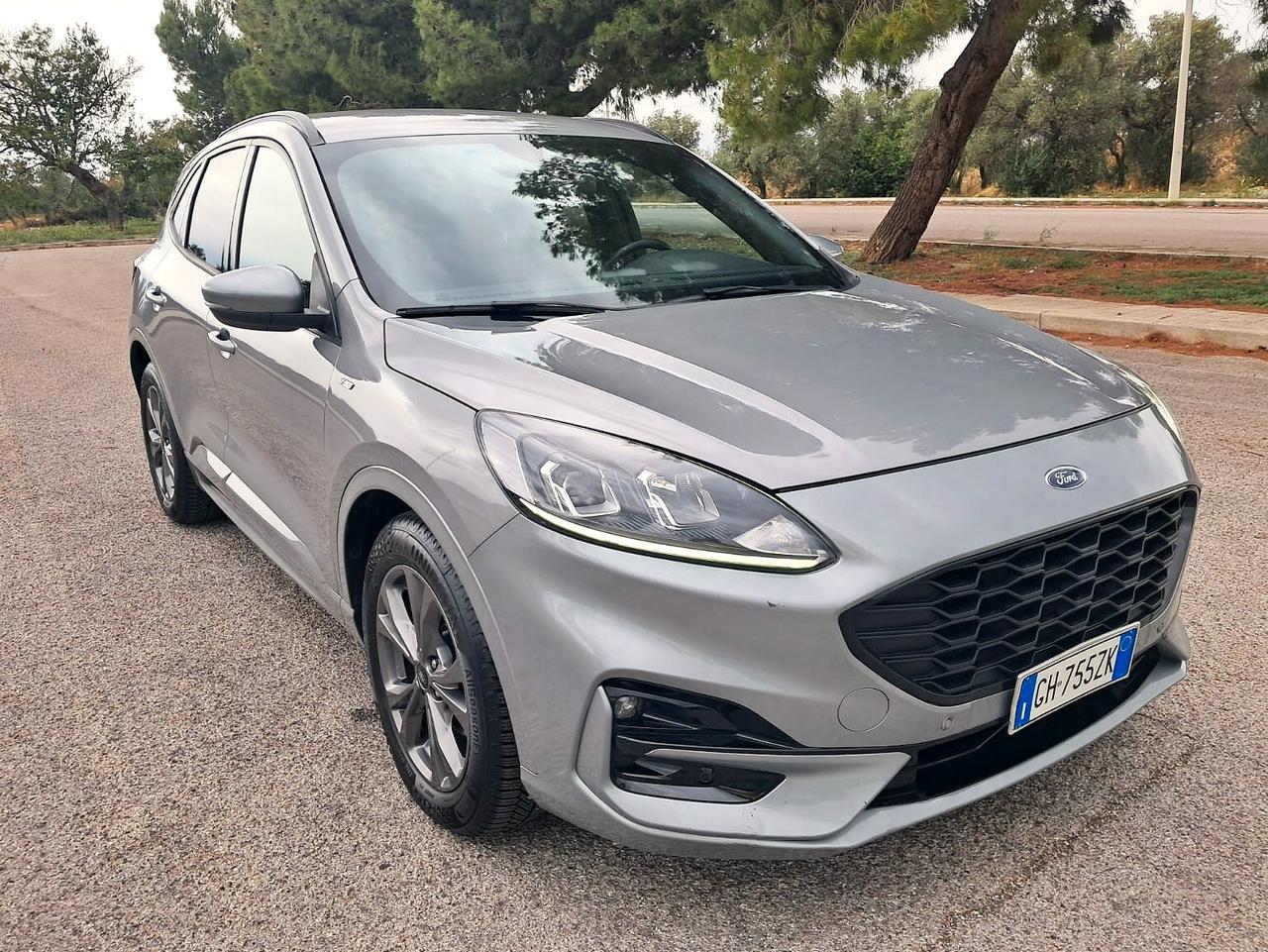 Ford Kuga 1.5 EcoBlue 120 CV 2WD ST-Line (Iva esposta)