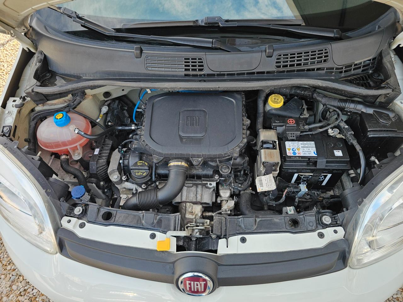 Fiat Panda 1.0 FireFly S&S Hybrid City Life