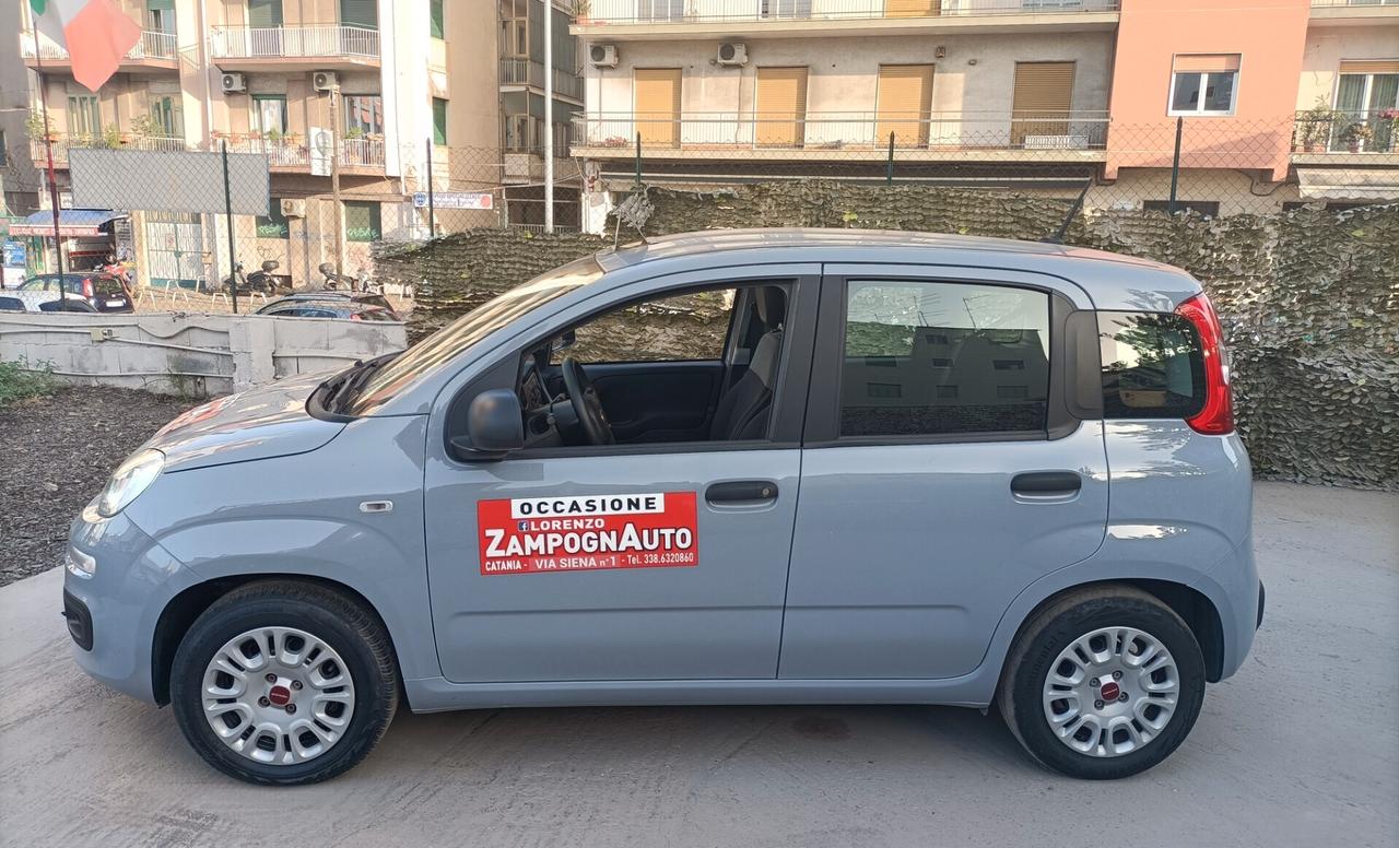 Fiat Panda 1.0 FireFly S&S Hybrid 2021 ZAMPOGNAUTO CT