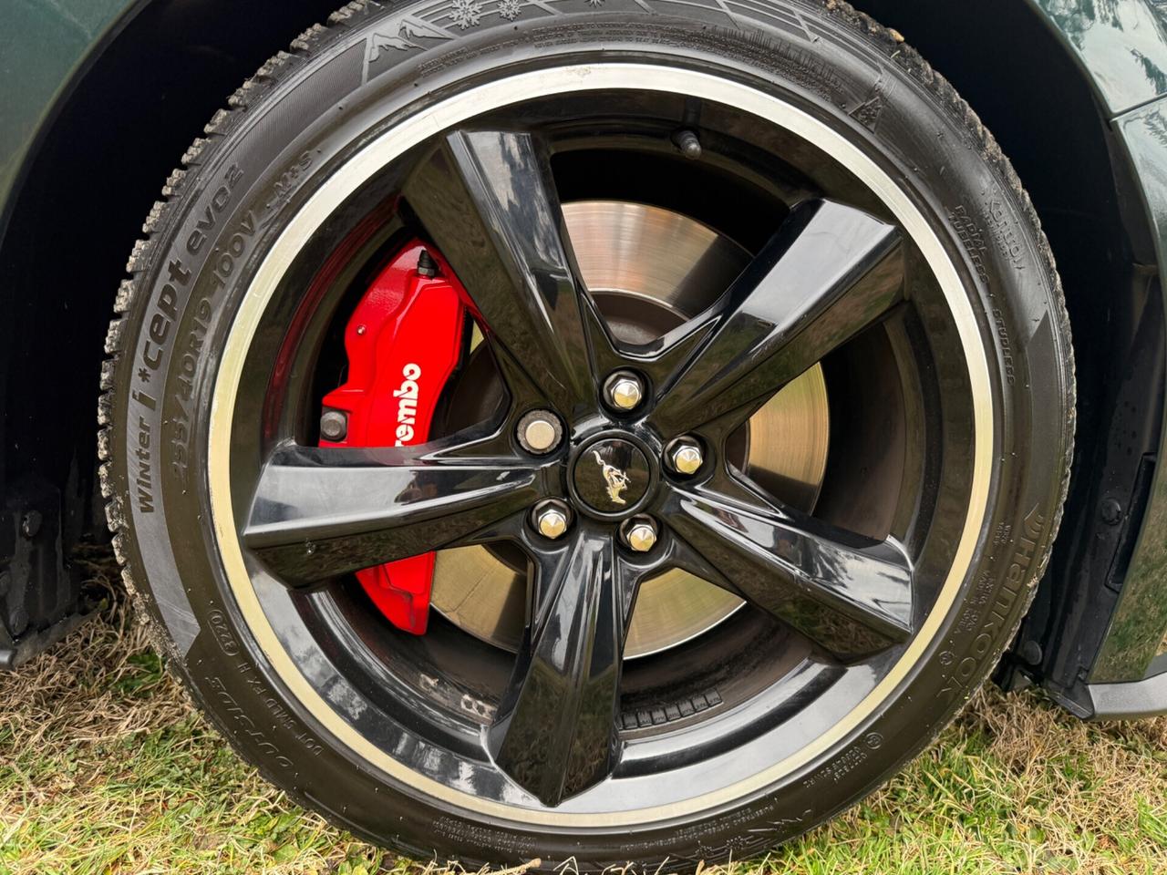 MUSTANG BULLIT + IVA 22% - PREZZO TOP EUROPA