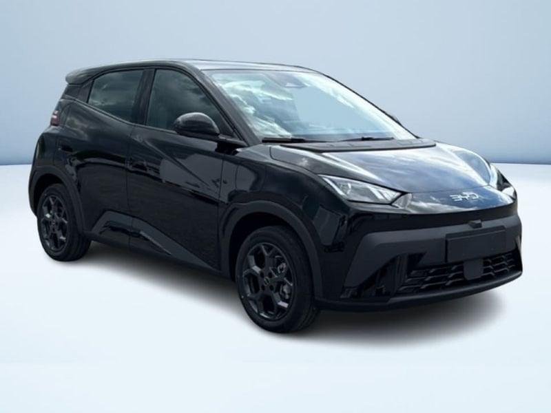 BYD Dolphin Surf Boost