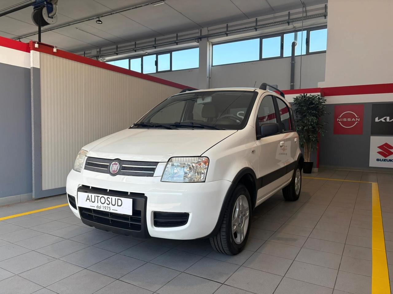 Fiat Panda 1.2 Climbing Natural Power