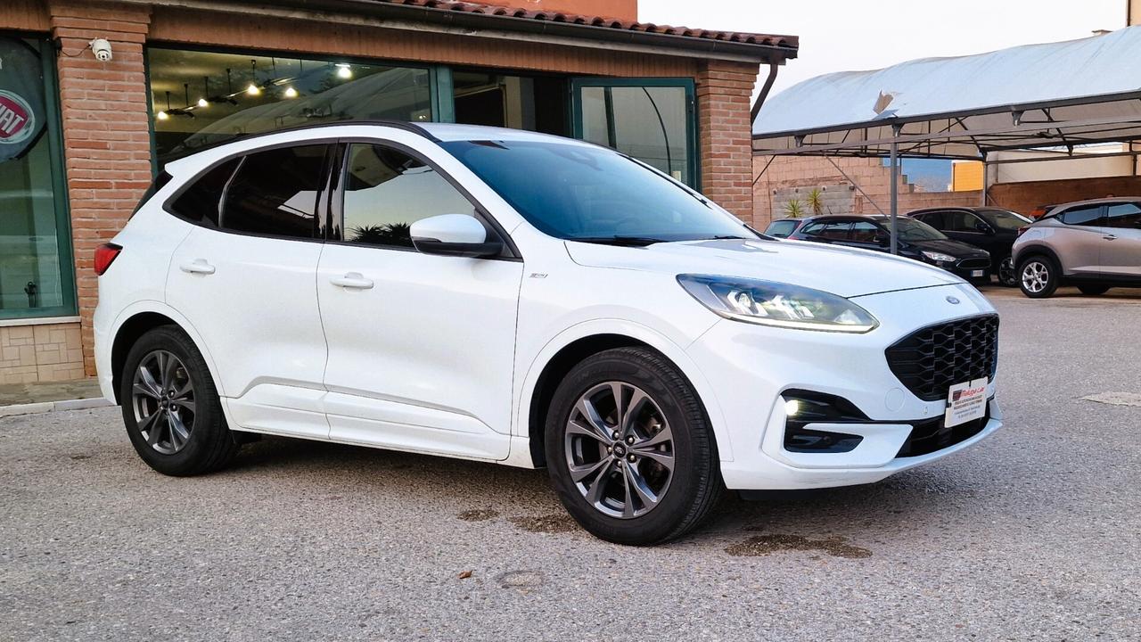 Ford Kuga 1.5 EcoBlue 120 CV 2WD ST-Line